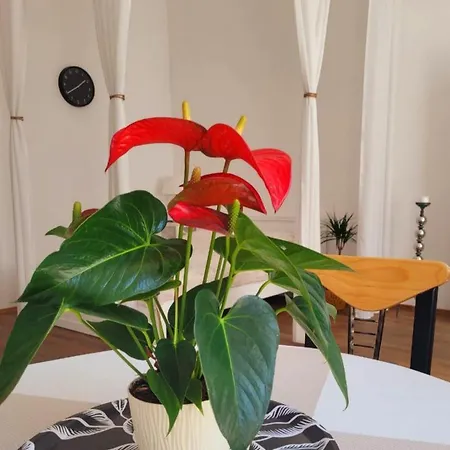 Przytulne Nowy Swiat Centrum Lok 1 *